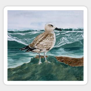 seagull on the shore Sticker